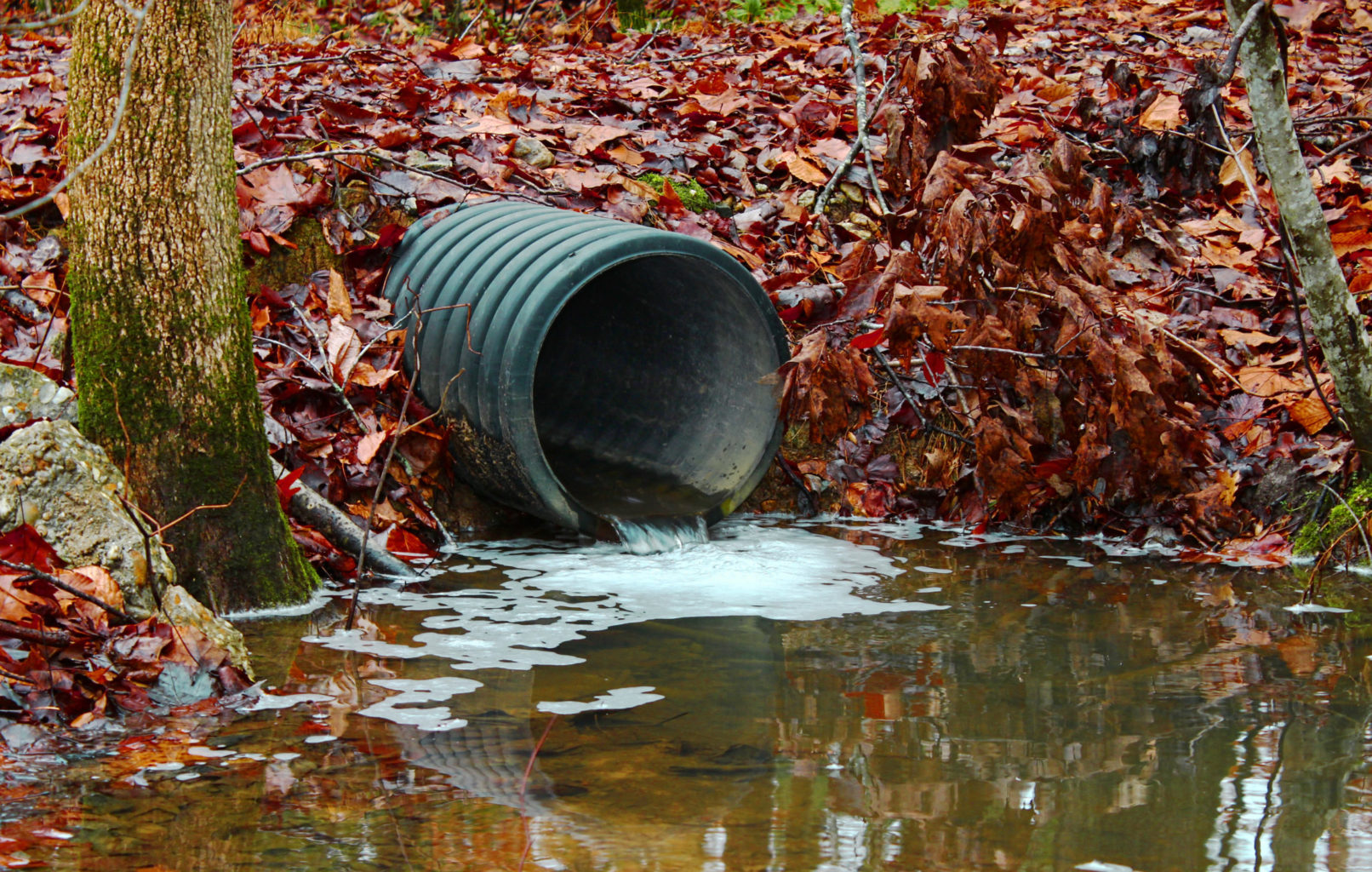 A storm water outfall drains water into a creek.