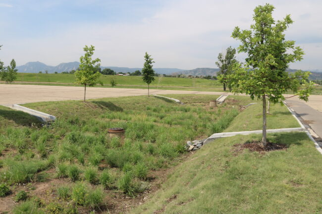 Sunken bioretention area with multiple inlets leading in from the surrounding parking lot.