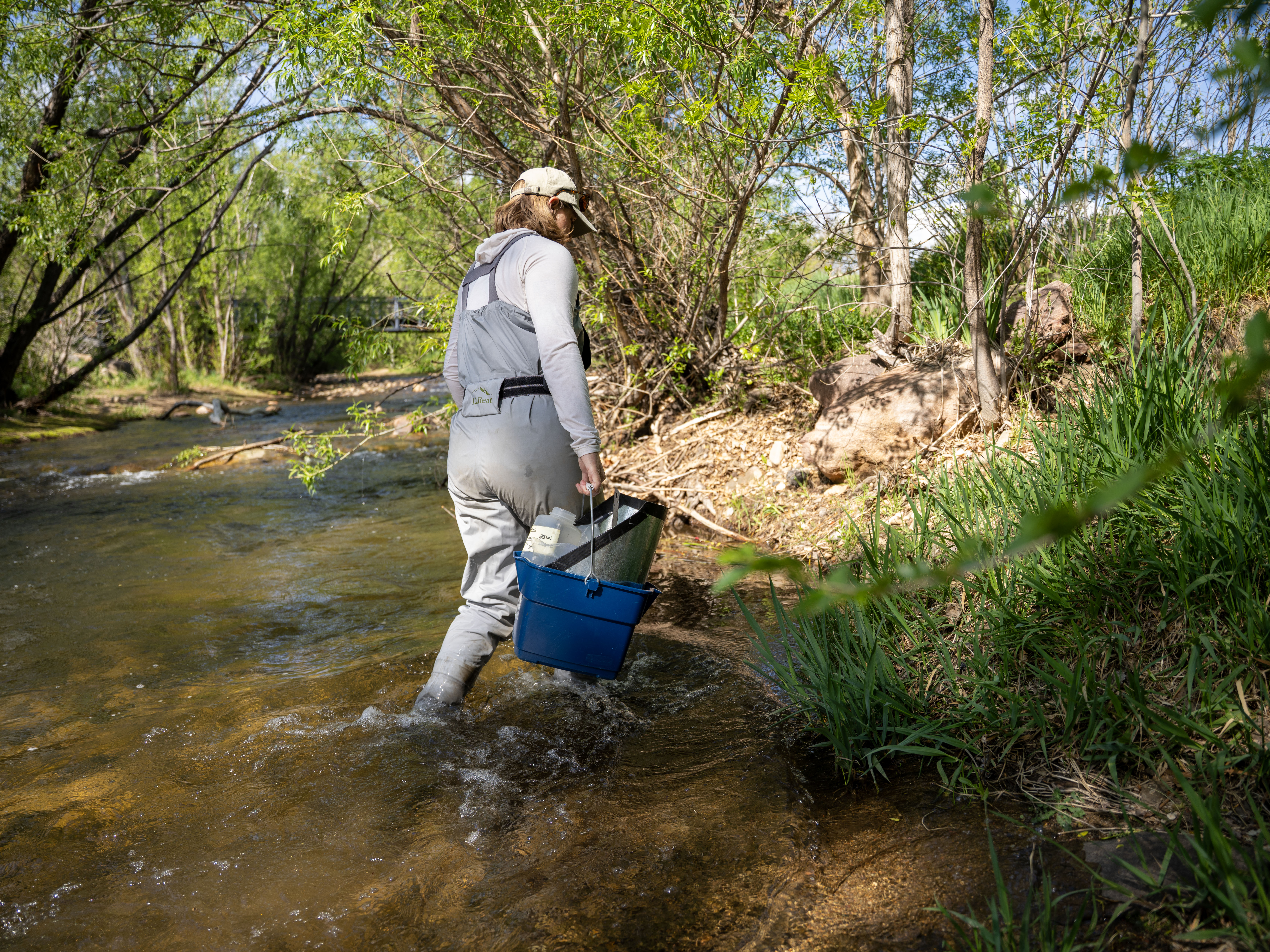 A woman in waders holding a bucket of water quality testing supplies walks through a river.