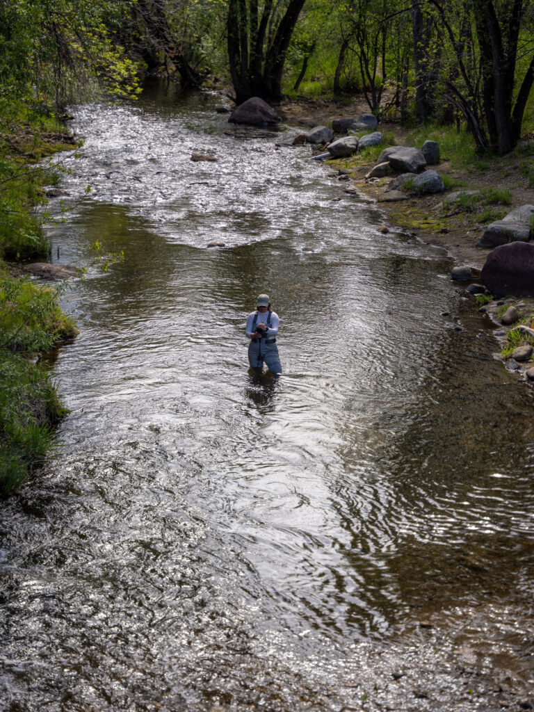 Aerial view of a woman in waders standing in the middle of a shallow slow moving river.