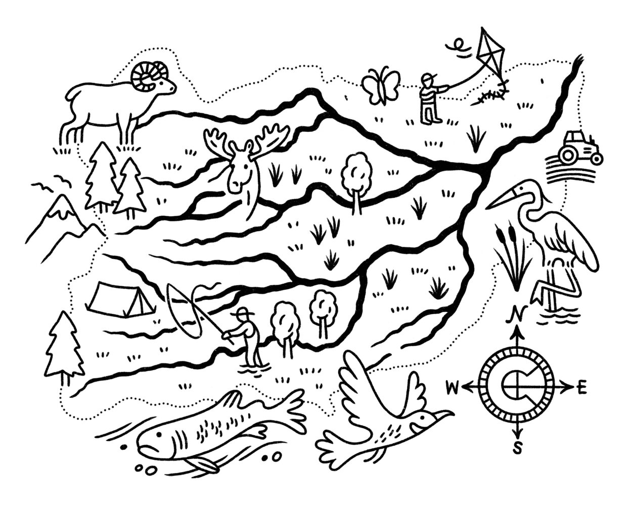 Illustrated map of the Boulder St. Vrain Watershed showing the major waterways and animals found in the area.